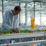 INRAE recrute